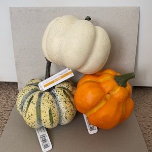 🎃🍁Buy 2 Get 1 FREE NWT 3 Pack Ashland Mini Decor Pumpkins